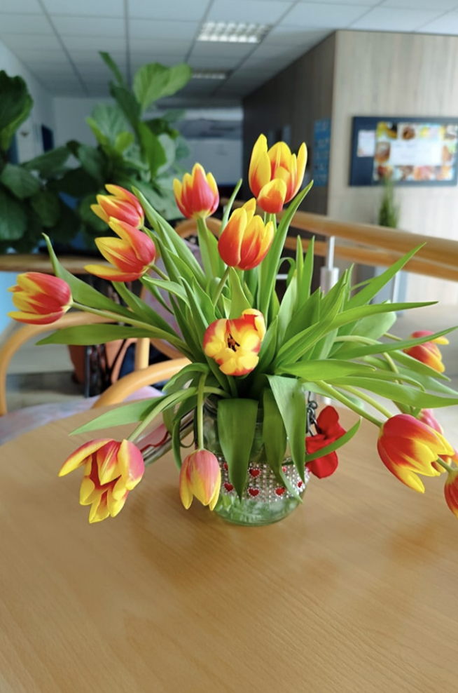 Bildschirmfoto 2025-04-03 um 09.44.01